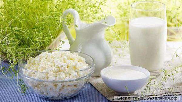 Домашняя молочная продукция