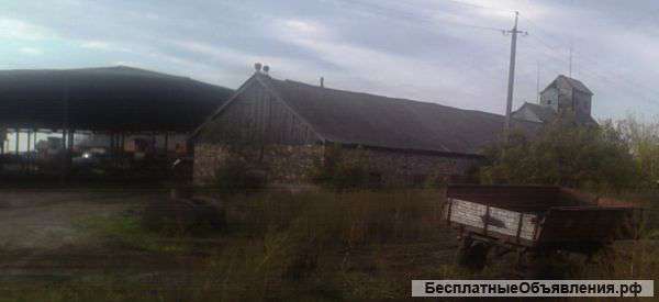 Колхоз в Рязанской областинедорого