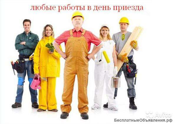 Выполним любые виды работ