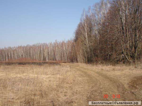 Участок земли 23,2 га от собственника