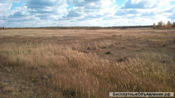 Земли сельхоз назначения 48,5 Га