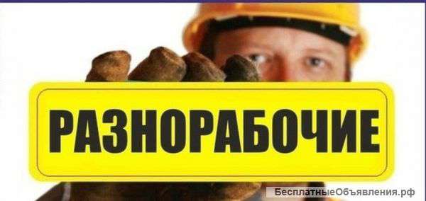 Разнорабочие широкого профиля (гр. РФ)