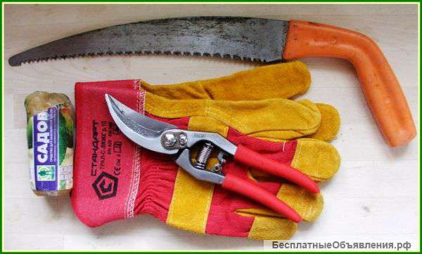 Обрезка деревьев