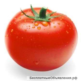 Семена томатов