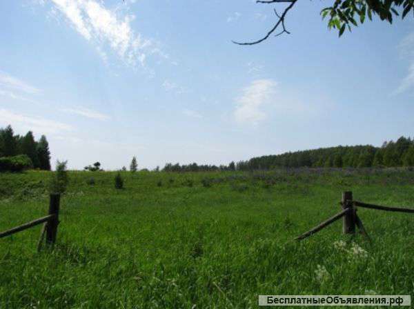 Земельный участок площадью - 1га