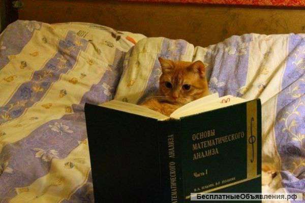 Математика