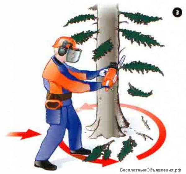 Спил и опил деревьев