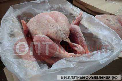 Индейка оптом