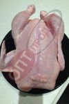 Тушка птицы охлажденная/замороженная