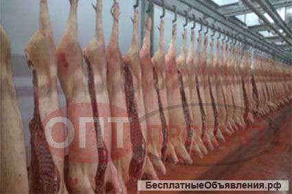 Свинина охлажденная/замор