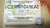 Наращивание ногтей, коррекция, шеллак