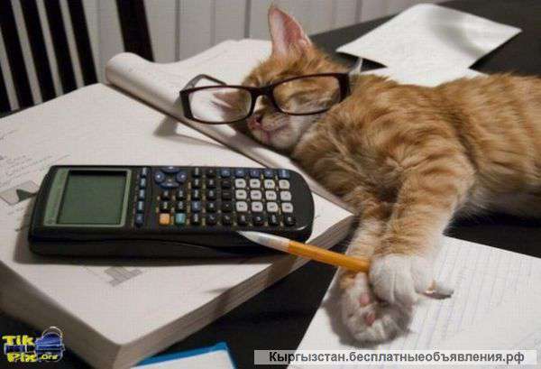 Обучаем бух.учету от «0» до главного бухгалтера.