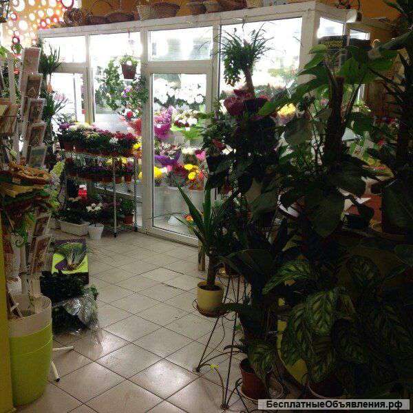 Сдам в аренду салон цветов