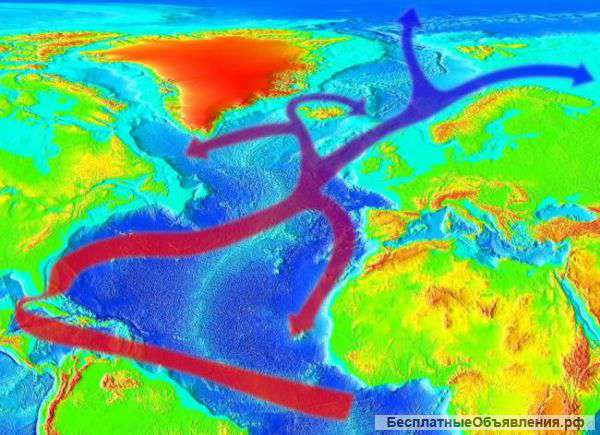 Виза предпринимателя