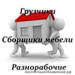 Грузчики грузоперевозки