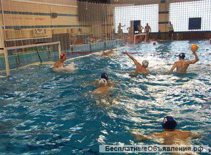 Водное поло для всех желающих