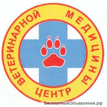 Вызов ветеринара на дом СПб