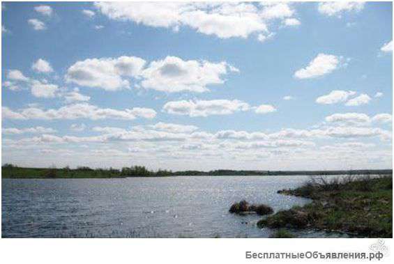 Участок на Ленинградском шоссе