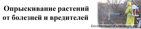 Опрыскивание деревьев