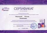 Ботек, Филеры в Ногинске
