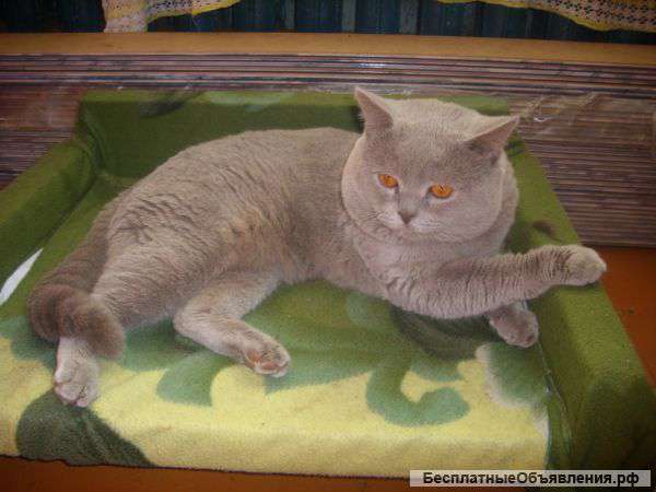 Приглашаем на вязку