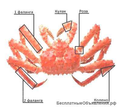 Мясо камчатского КРАБА в Москве недорого