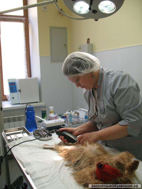 Ветеринарная клиника и аптека