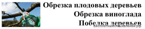 Обрезка деревьев Москва