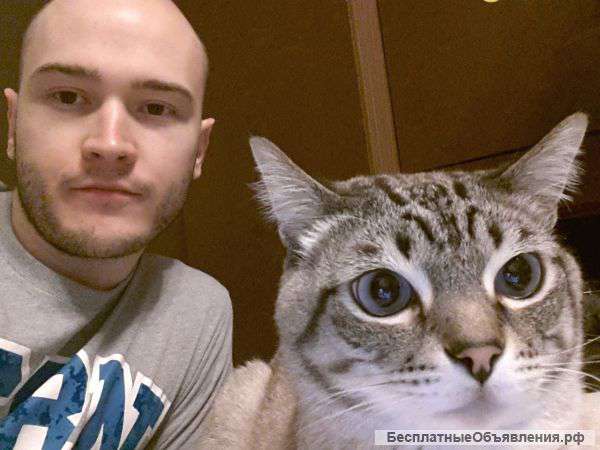 Репетитор по английскому языку