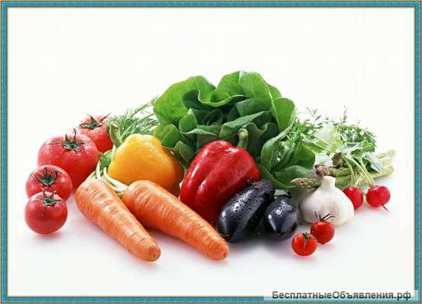 Семена овощей на любой вкус