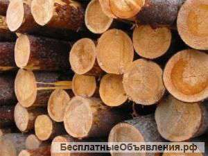 Бревно лиственница