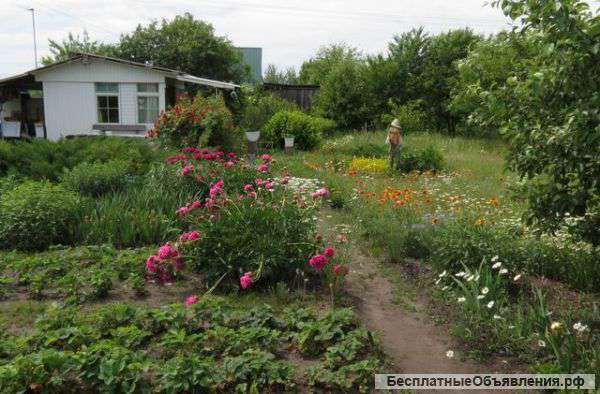 Дачный участок Медовка