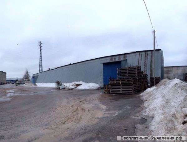 Сдам в аренду