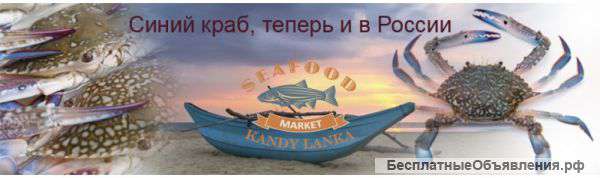 Рыба, морепродукты из Шри-Ланки