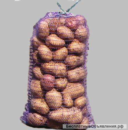 Доставка картофеля до квартиры