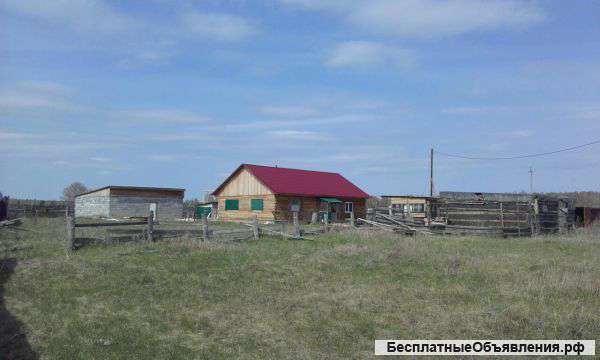 Дом в деревне