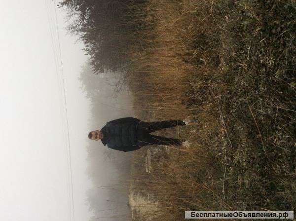 Хочу помочь детям Луганска