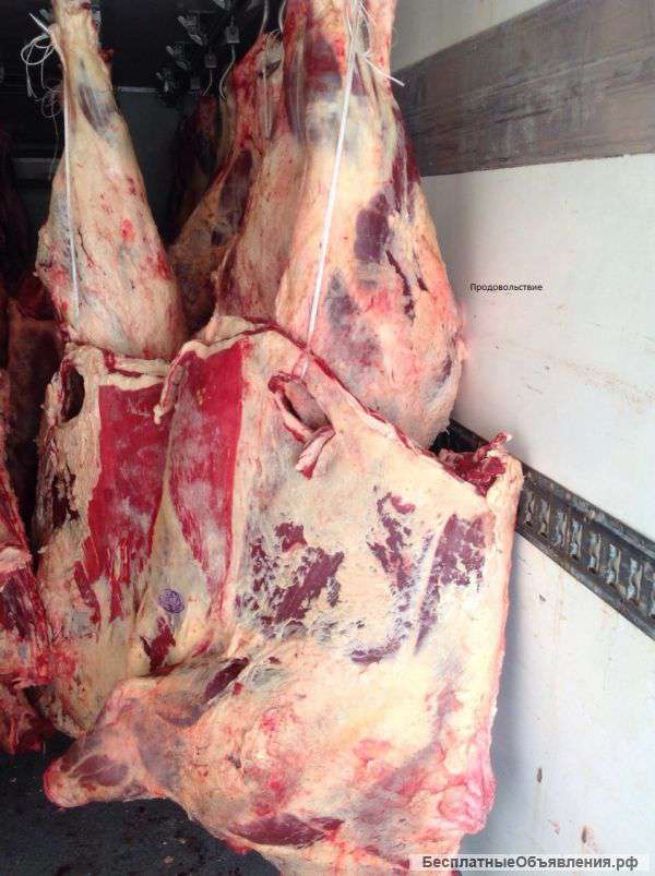 Свинина и Говядина полутушами