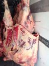 Свинина и Говядина полутушами