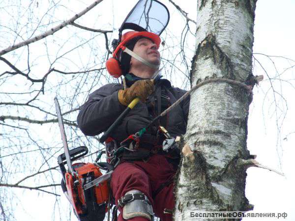 Удаление деревьев
