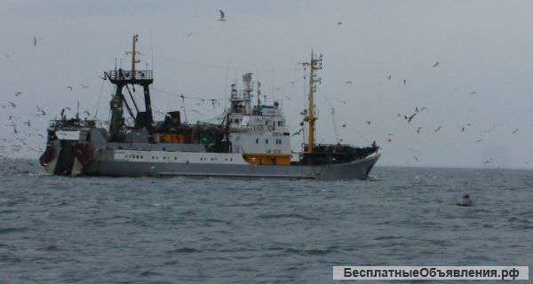 Хамса св/мор судовая заморозка 1 сорт