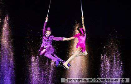 Бесплатно в цирк и театр большой компанией