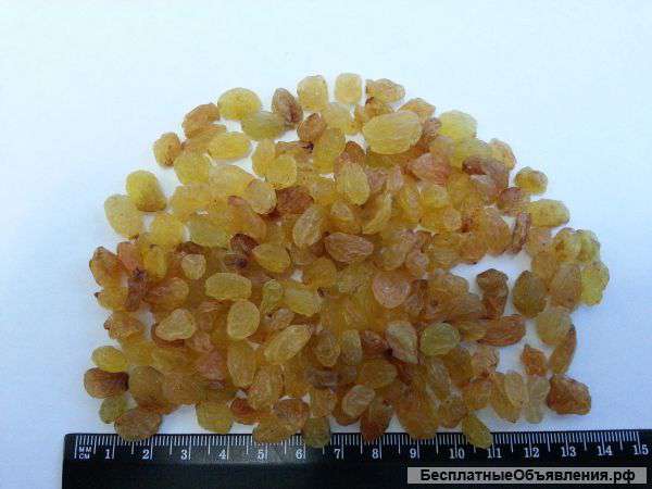 Изюм из Ирана