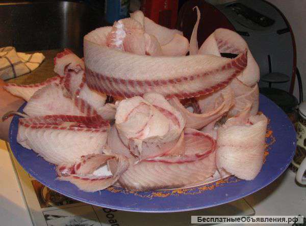 Якутская Северная рыба