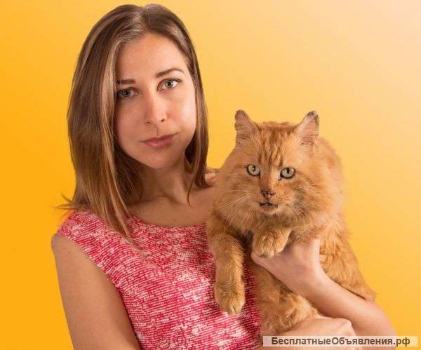 Репетиторство Английского по Скайпу