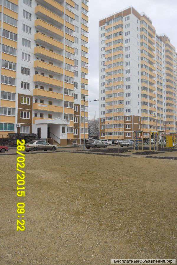 1 комнатная квартира