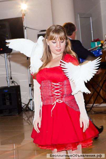 Шоу с белоснежными голубями