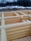 Срубы из северного леса в аологде