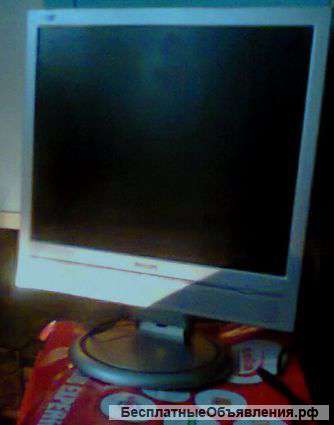 Phillips-17"