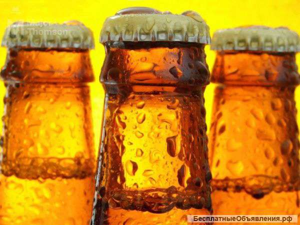 Прибыльный магазин пива и рыбы